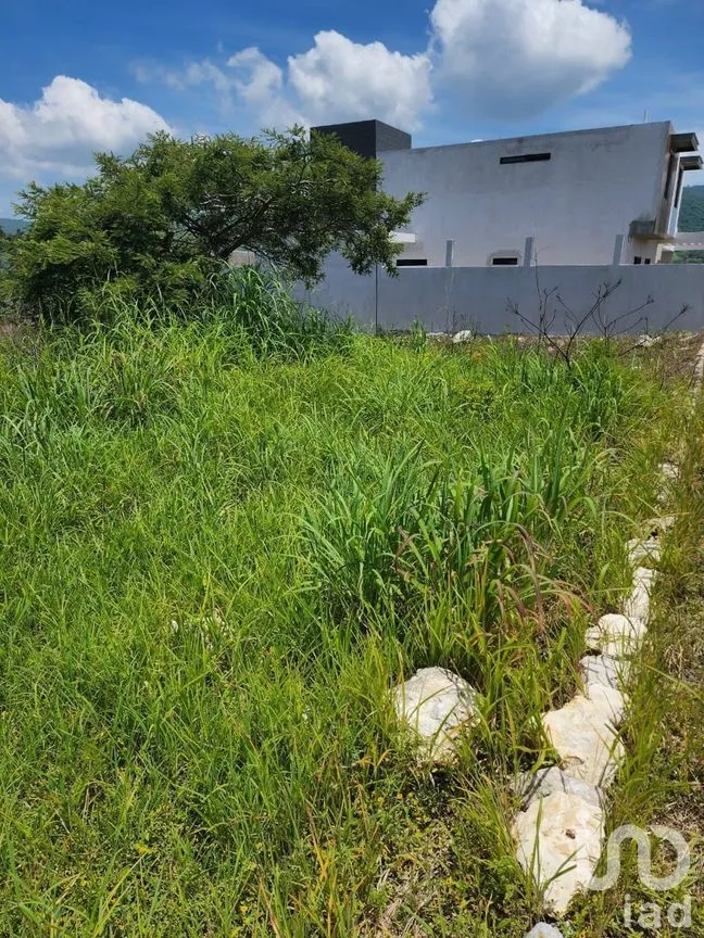 Terreno en Venta en Berriozabal Centro, Berriozábal, Chiapas | NEX-280755 | iad México | Foto 7 de 8