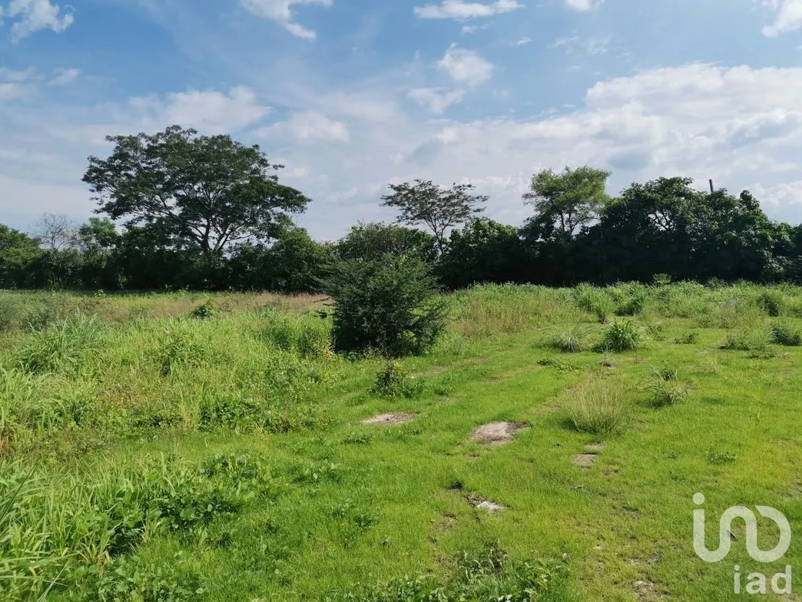 Terreno en Venta en Villa Real, Chiapa de Corzo, Chiapas | NEX-280757 | iad México | Foto 4 de 17