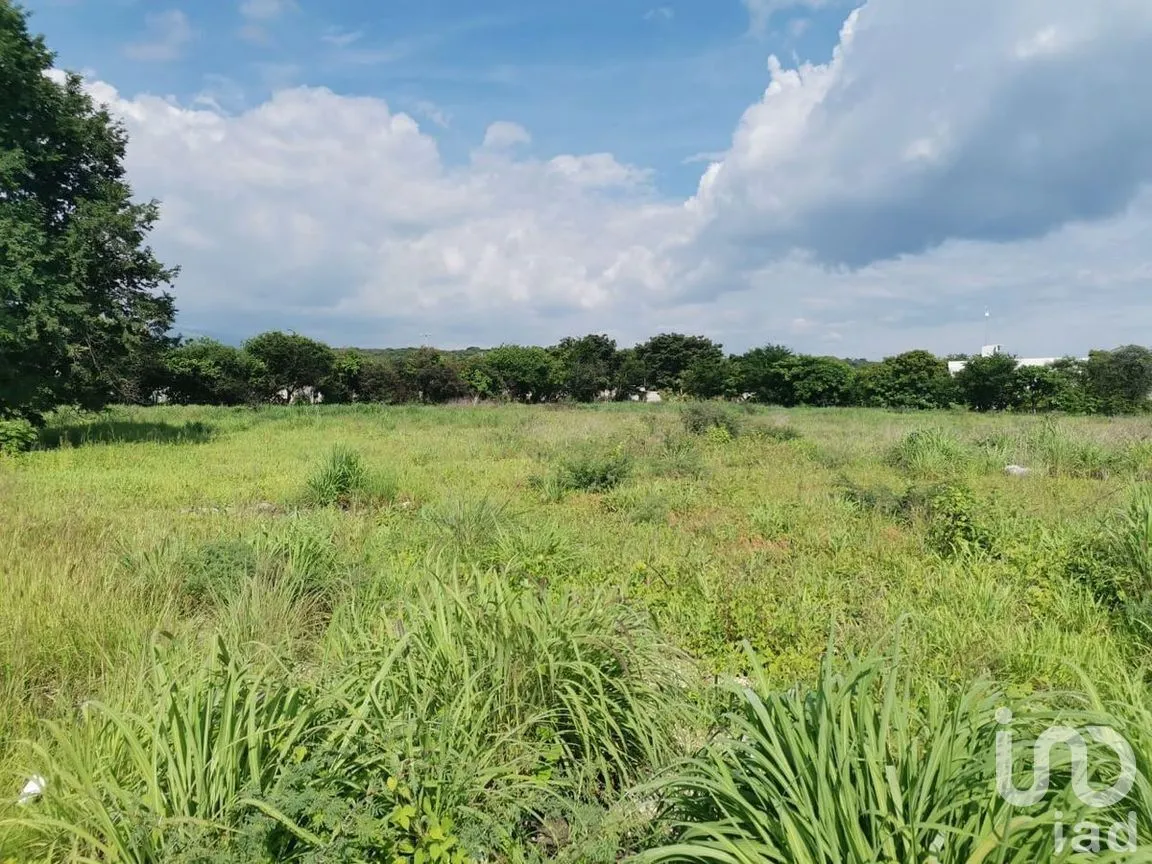 Terreno en Venta en Villa Real, Chiapa de Corzo, Chiapas | NEX-280757 | iad México | Foto 6 de 17