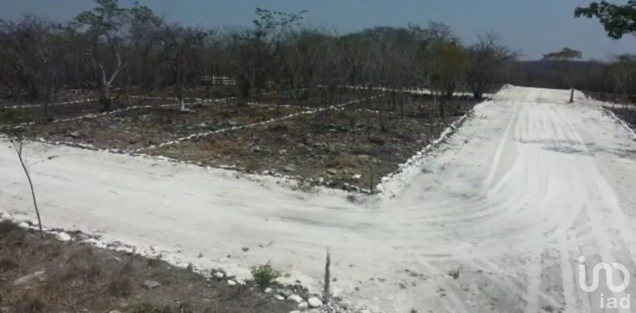 Terreno en Venta en Granjas Club Campestre, Tuxtla Gutiérrez, Chiapas | NEX-280761 | iad México | Foto 7 de 7