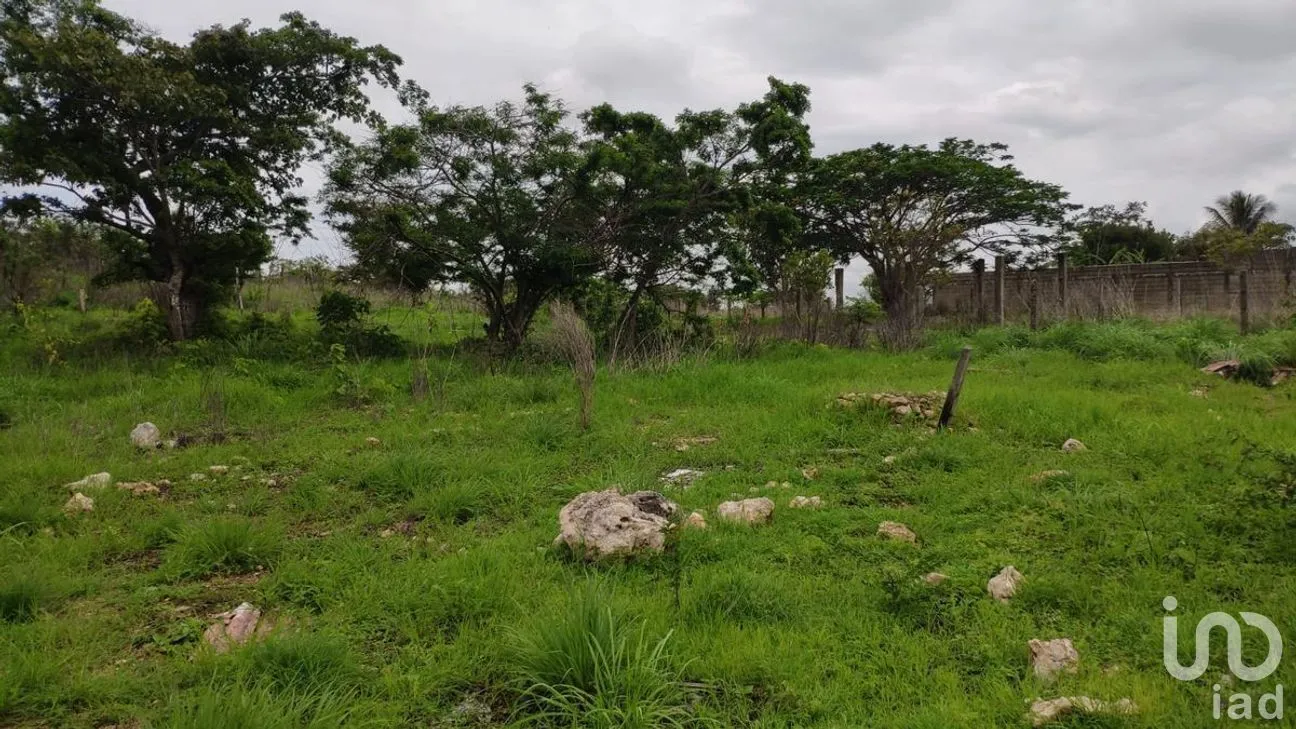 Terreno en Venta en El Sabino, Berriozábal, Chiapas | NEX-280762 | iad México | Foto 3 de 7