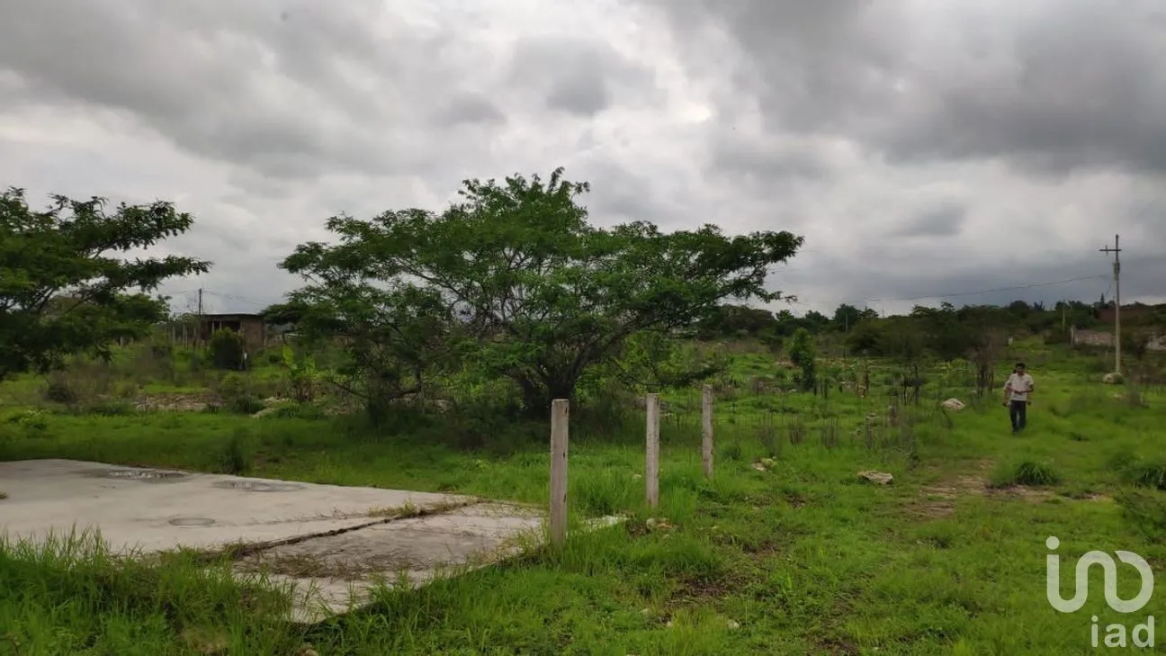 Terreno en Venta en El Sabino, Berriozábal, Chiapas | NEX-280762 | iad México | Foto 5 de 7