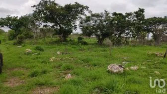 NEX-280762 - Terreno en Venta en El Sabino, CP 29130, Chiapas.