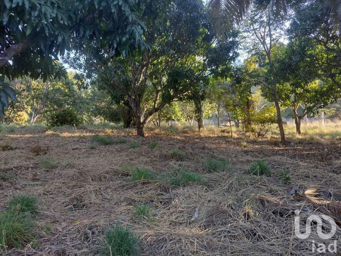 Terreno en Venta en Real del Bosque, Tuxtla Gutiérrez, Chiapas | NEX-284957 | iad México | Foto 22 de 33
