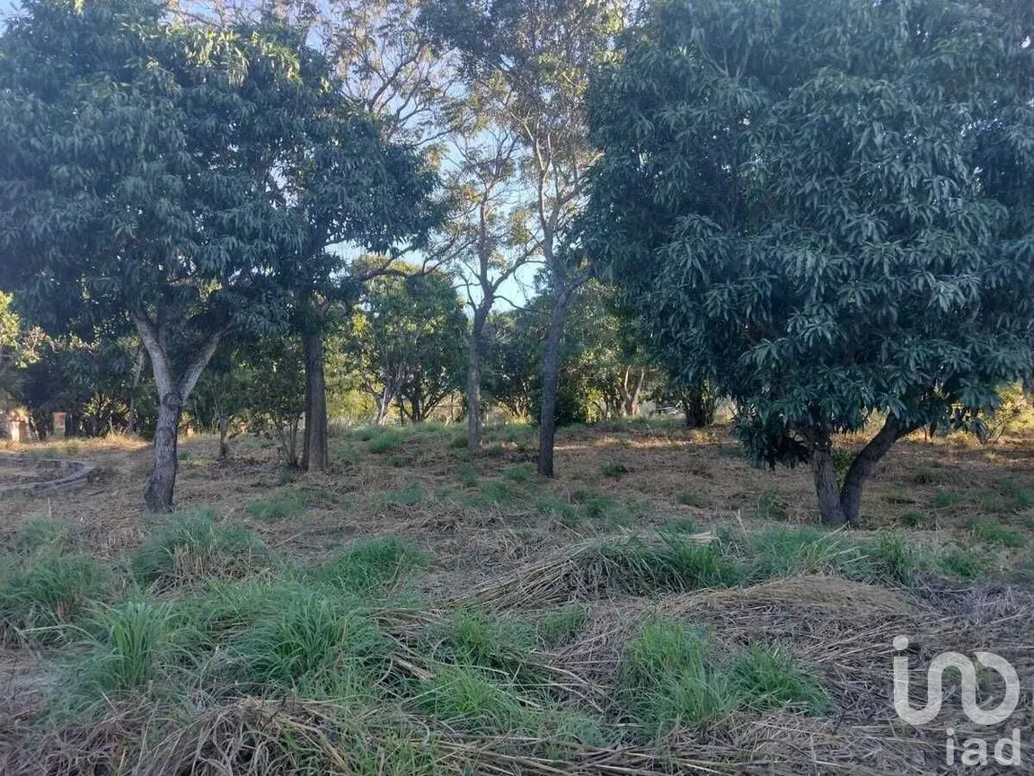 Terreno en Venta en Real del Bosque, Tuxtla Gutiérrez, Chiapas | NEX-284957 | iad México | Foto 27 de 33