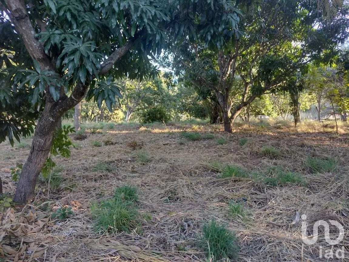 Terreno en Venta en Real del Bosque, Tuxtla Gutiérrez, Chiapas | NEX-284957 | iad México | Foto 9 de 33