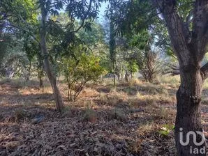 NEX-284957 - Terreno en Venta en Real del Bosque, CP 29040, Chiapas.