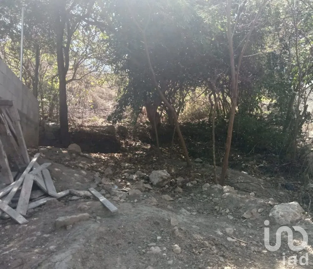 Terreno en Venta en Bosques del Sur, Tuxtla Gutiérrez, Chiapas | NEX-288798 | iad México | Foto 8 de 13