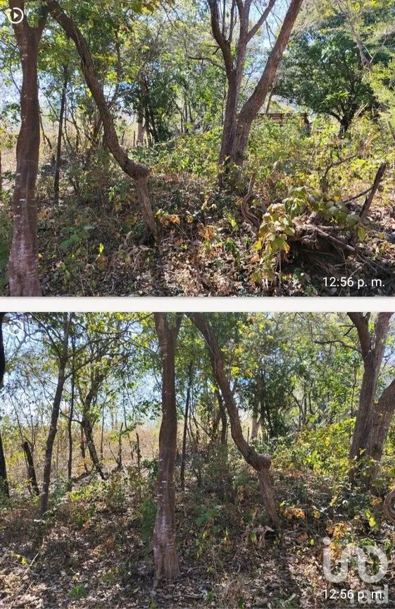 Terreno en Venta en Rivera Cerro Hueco, Tuxtla Gutiérrez, Chiapas | NEX-288799 | iad México | Foto 3 de 9