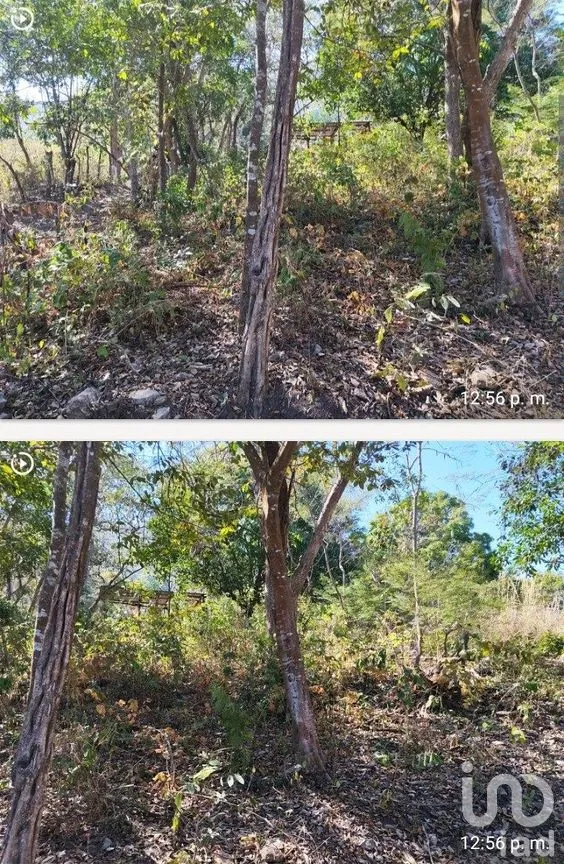 Terreno en Venta en Rivera Cerro Hueco, Tuxtla Gutiérrez, Chiapas | NEX-288799 | iad México | Foto 4 de 9