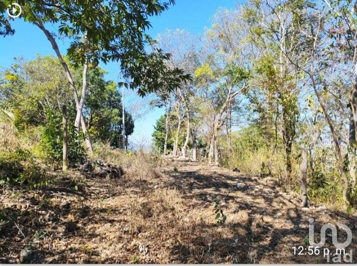 Terreno en Venta en Rivera Cerro Hueco, Tuxtla Gutiérrez, Chiapas | NEX-288799 | iad México | Foto 5 de 9