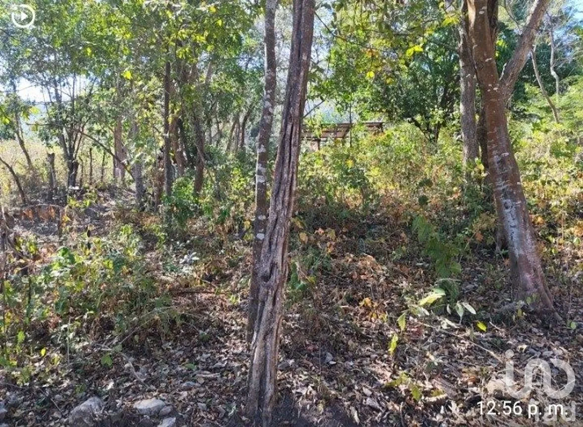 Terreno en Venta en Rivera Cerro Hueco, Tuxtla Gutiérrez, Chiapas | NEX-288799 | iad México | Foto 7 de 9