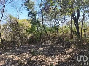 NEX-288799 - Terreno en Venta en Rivera Cerro Hueco, CP 29094, Chiapas.