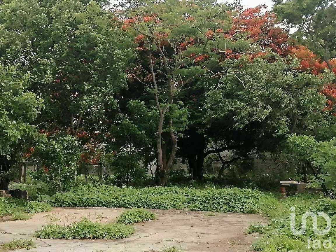 Terreno en Renta en Albania Baja, Tuxtla Gutiérrez, Chiapas | NEX-291349 | iad México | Foto 3 de 11