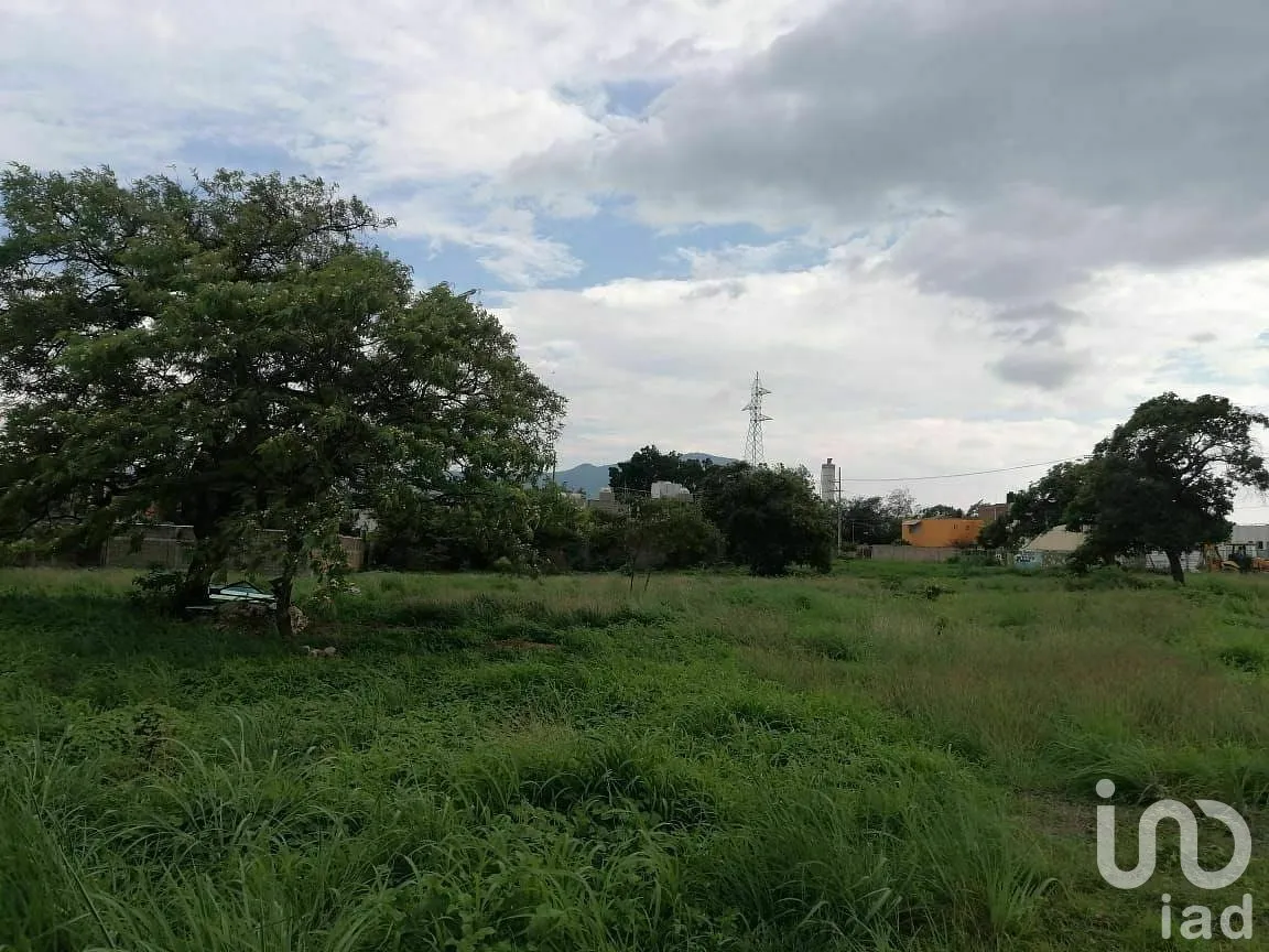 Terreno en Renta en Albania Baja, Tuxtla Gutiérrez, Chiapas | NEX-291349 | iad México | Foto 7 de 11