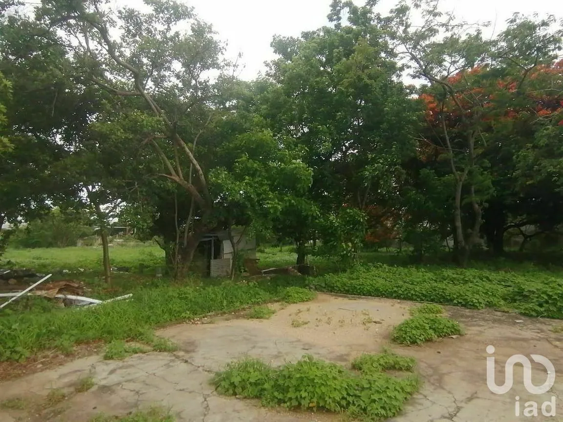 Terreno en Renta en Albania Baja, Tuxtla Gutiérrez, Chiapas | NEX-291349 | iad México | Foto 10 de 11