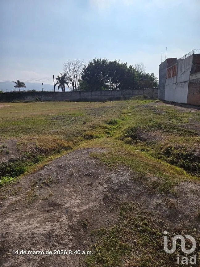 Terreno en Venta en Santa Cecilia, Berriozábal, Chiapas | NEX-294600 | iad México | Foto 2 de 7