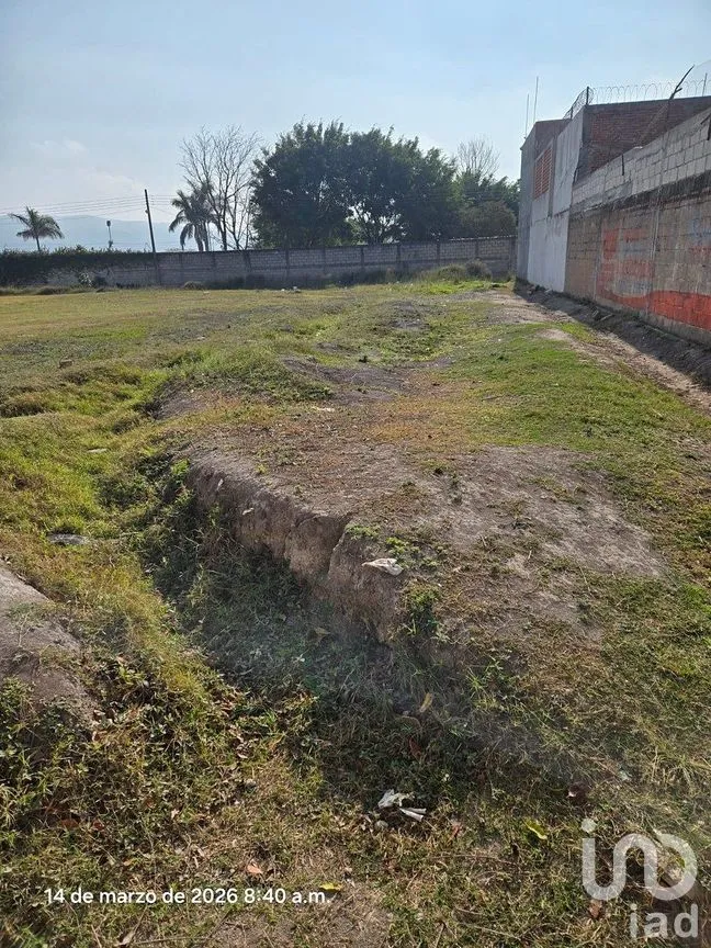 Terreno en Venta en Santa Cecilia, Berriozábal, Chiapas | NEX-294600 | iad México | Foto 3 de 7