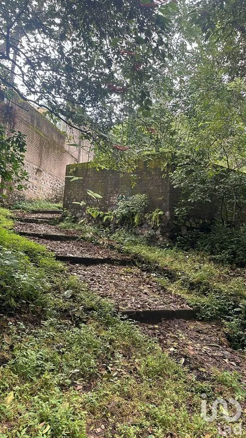 Terreno en Venta en Cofradía de Suchitlán, Comala, Colima | NEX-277528 | iad México | Foto 3 de 8