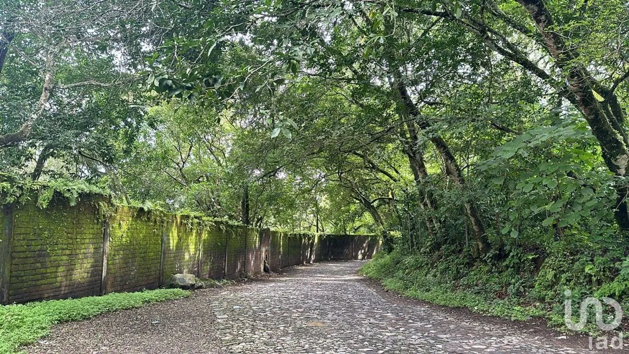 Terreno en Venta en Cofradía de Suchitlán, Comala, Colima | NEX-277528 | iad México | Foto 4 de 8