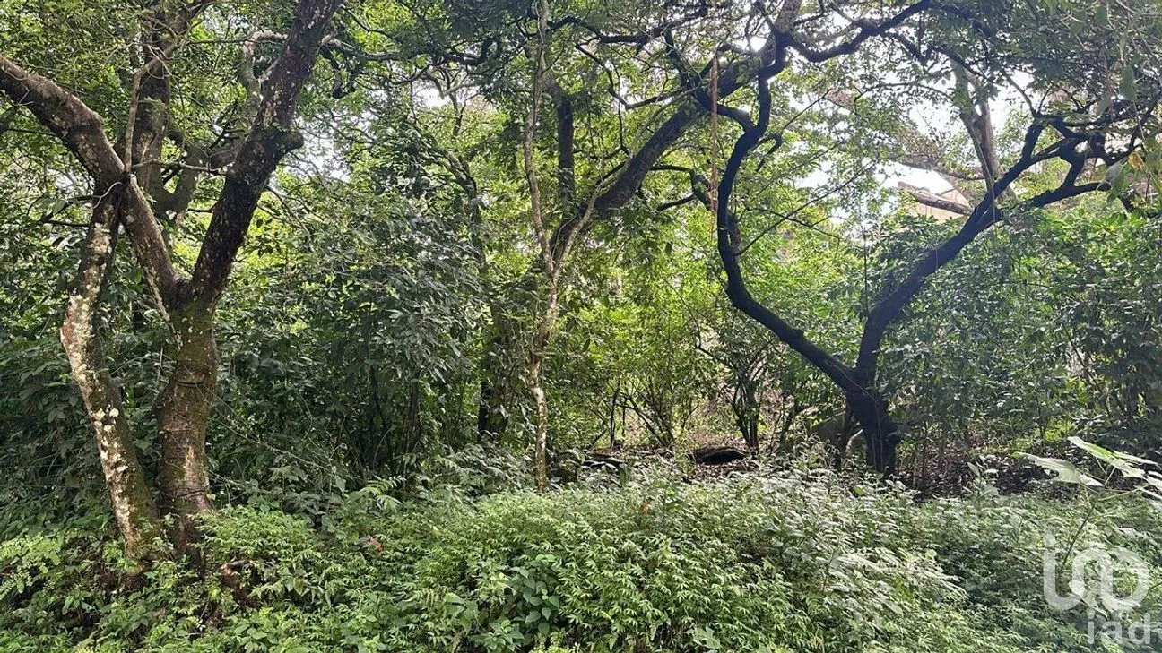 Terreno en Venta en Cofradía de Suchitlán, Comala, Colima | NEX-277528 | iad México | Foto 5 de 8
