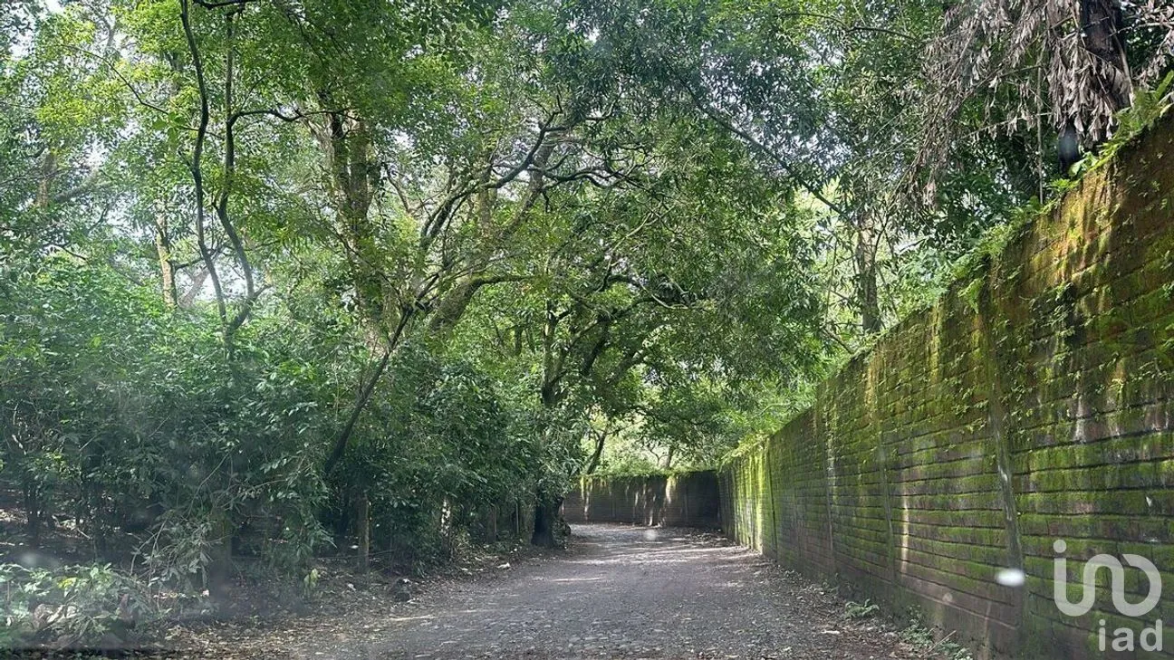 Terreno en Venta en Cofradía de Suchitlán, Comala, Colima | NEX-277528 | iad México | Foto 6 de 8