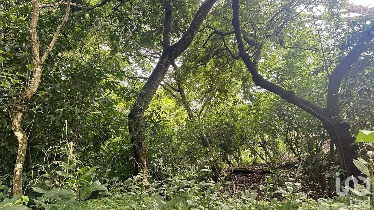 Terreno en Venta en Cofradía de Suchitlán, Comala, Colima | NEX-277528 | iad México | Foto 1 de 8