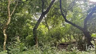 NEX-277528 - Terreno en Venta en Cofradía de Suchitlán, CP 28460, Colima.