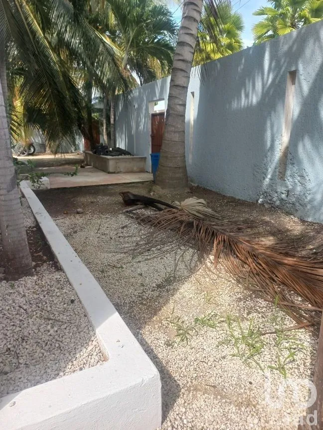 Casa en Venta en Chelem, Progreso, Yucatán | NEX-202359 | iad México | Foto 19 de 34