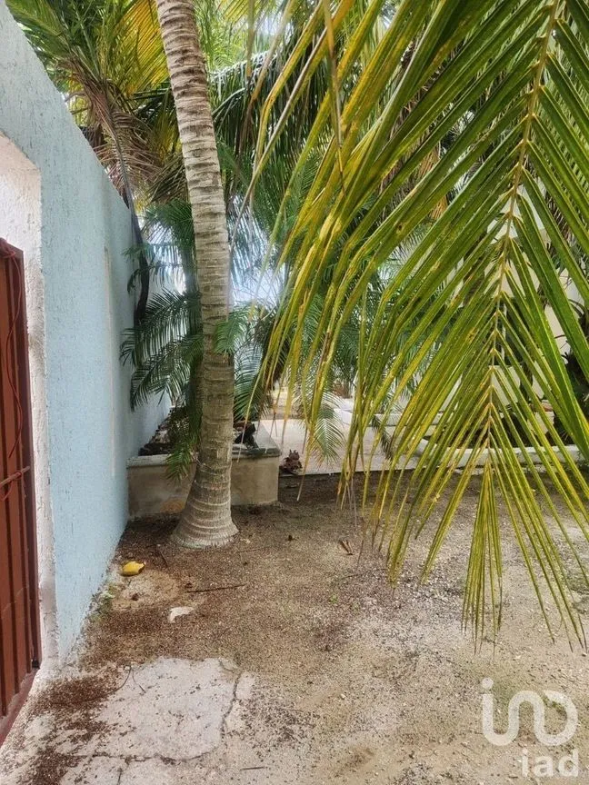 Casa en Venta en Chelem, Progreso, Yucatán | NEX-202359 | iad México | Foto 12 de 34