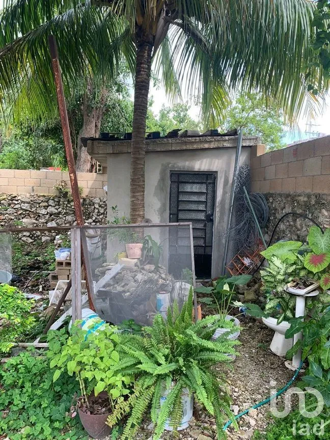 Casa en Venta en Mérida Centro, Mérida, Yucatán | NEX-229146 | iad México | Foto 14 de 17