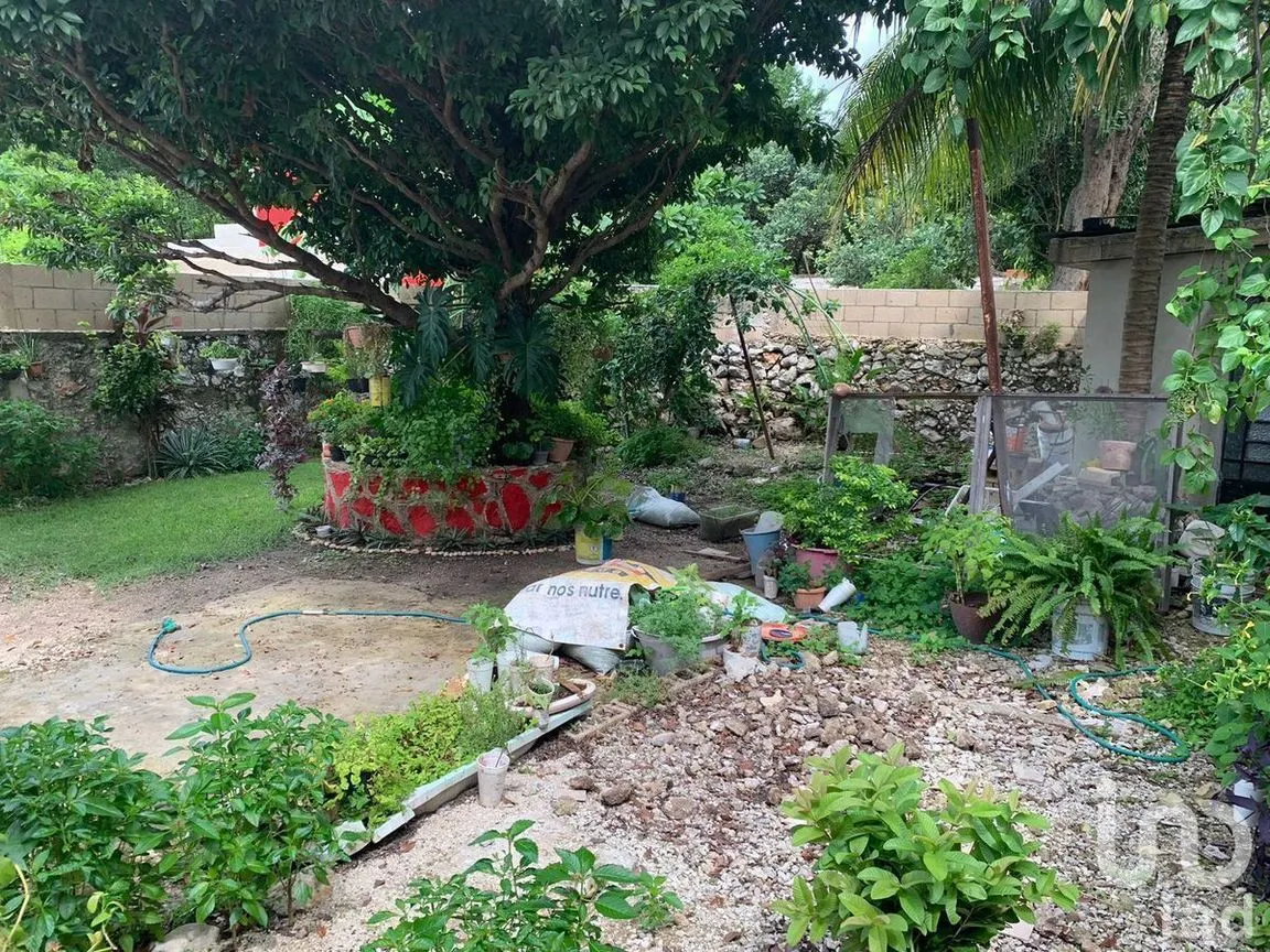 Casa en Venta en Mérida Centro, Mérida, Yucatán | NEX-229146 | iad México | Foto 16 de 17