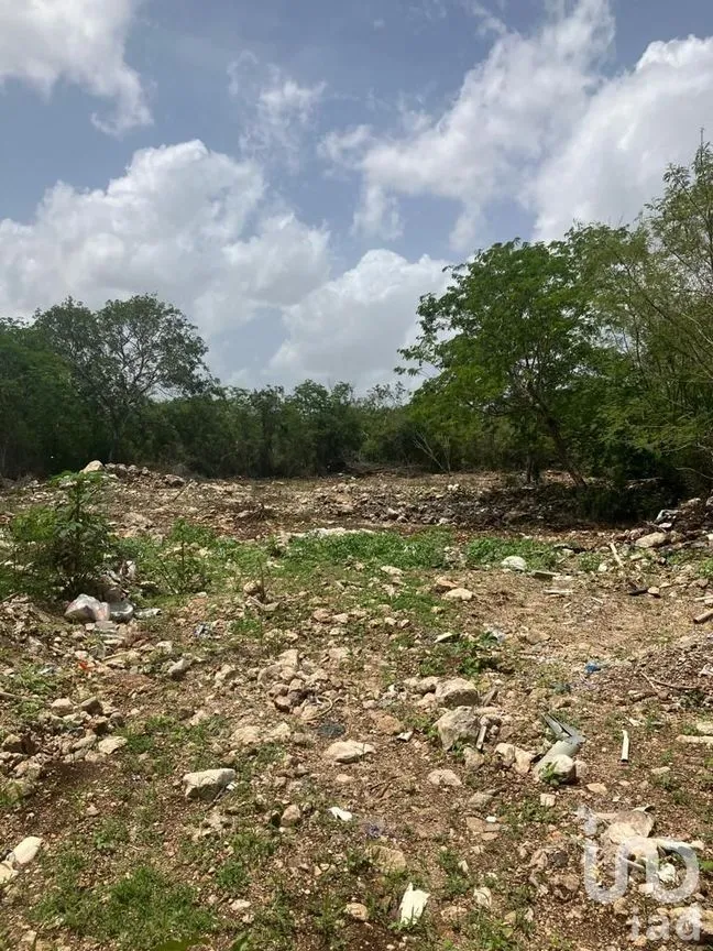 Terreno en Venta en Cabo Norte, Mérida, Yucatán | NEX-229159 | iad México | Foto 2 de 7