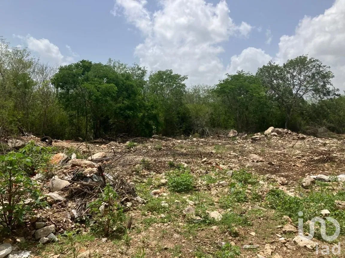 Terreno en Venta en Cabo Norte, Mérida, Yucatán | NEX-229159 | iad México | Foto 3 de 7