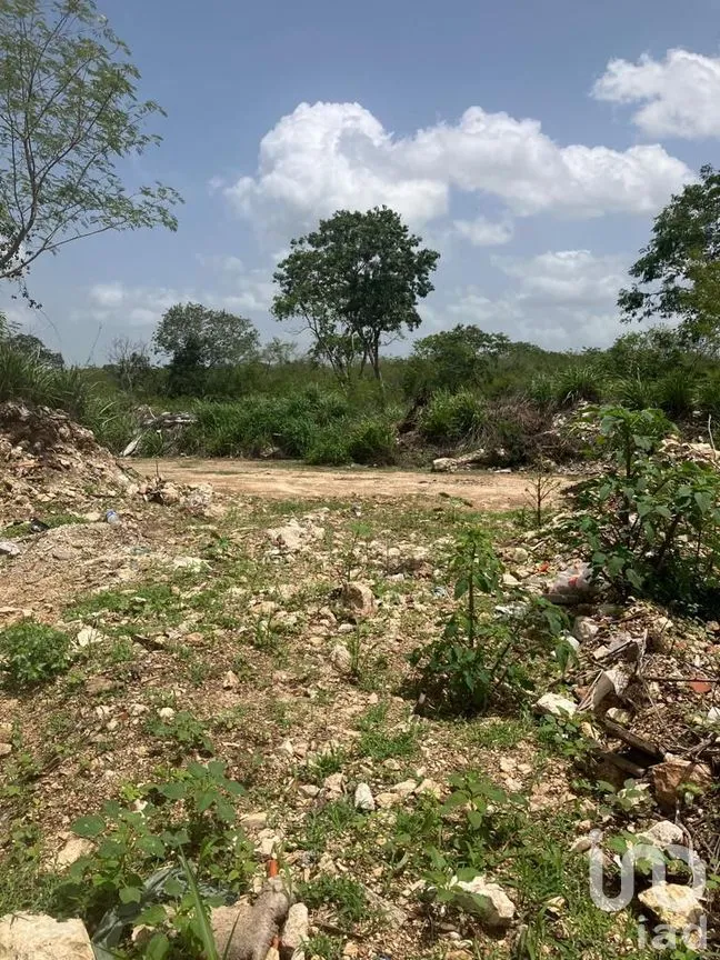 Terreno en Venta en Cabo Norte, Mérida, Yucatán | NEX-229159 | iad México | Foto 4 de 7