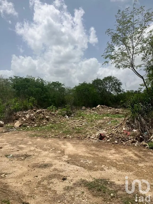 Terreno en Venta en Cabo Norte, Mérida, Yucatán | NEX-229159 | iad México | Foto 5 de 7