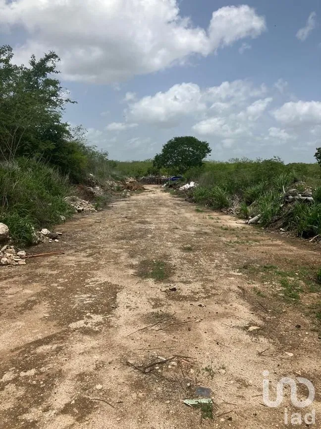Terreno en Venta en Cabo Norte, Mérida, Yucatán | NEX-229159 | iad México | Foto 6 de 7