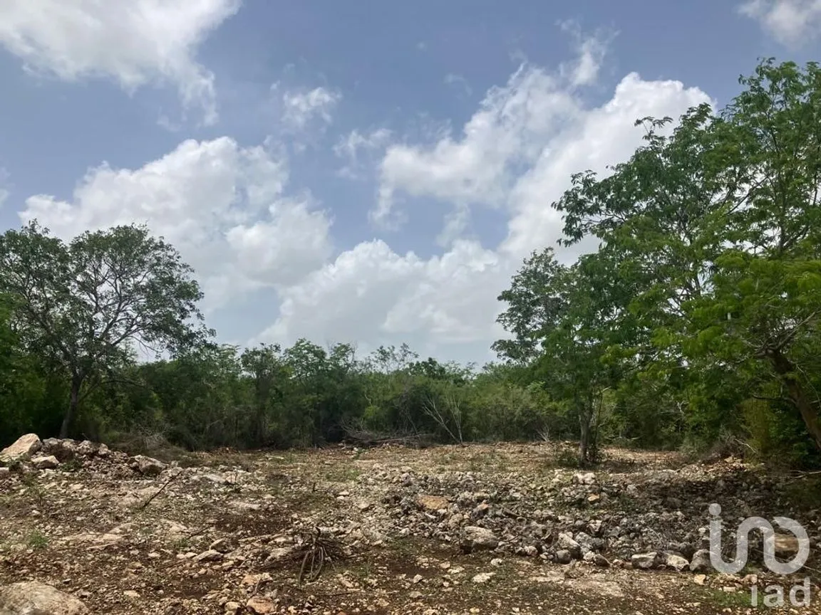 Terreno en Venta en Cabo Norte, Mérida, Yucatán | NEX-229159 | iad México | Foto 1 de 7