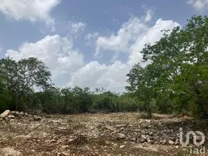 NEX-229159 - Terreno en Venta en Cabo Norte, CP 97305, Yucatán.