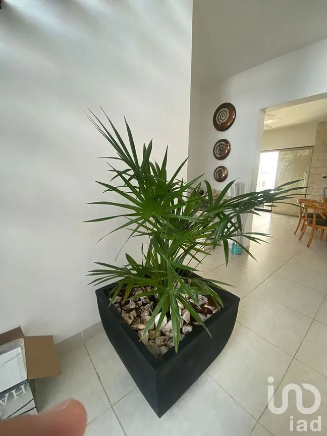 Casa en Venta en Montebello, Mérida, Yucatán | NEX-229162 | iad México | Foto 6 de 48