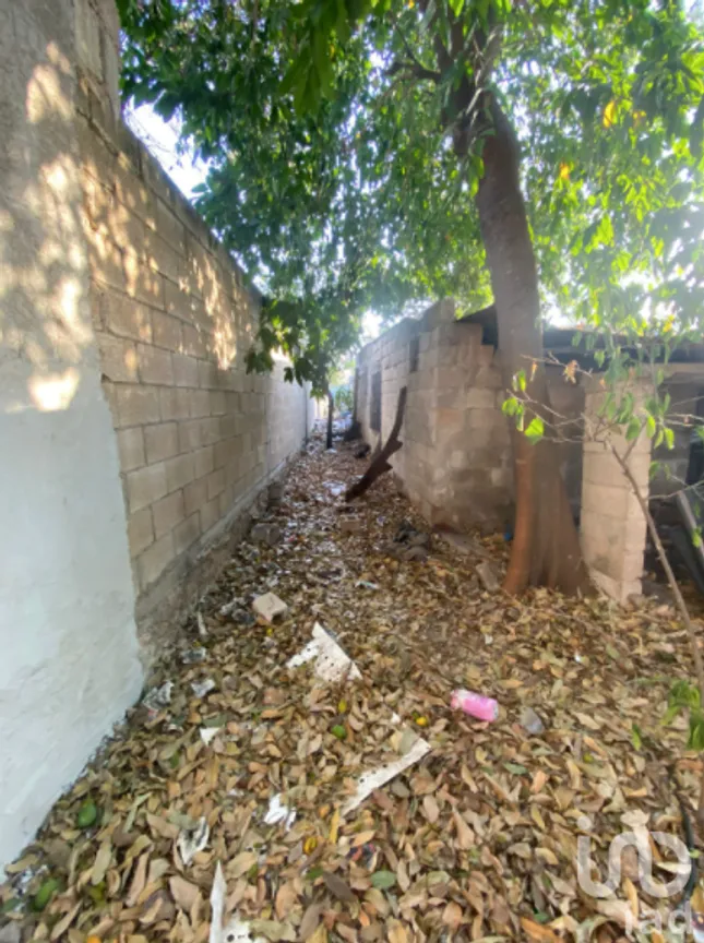 Terreno en Venta en Francisco I Madero, Mérida, Yucatán | NEX-229176 | iad México | Foto 3 de 8