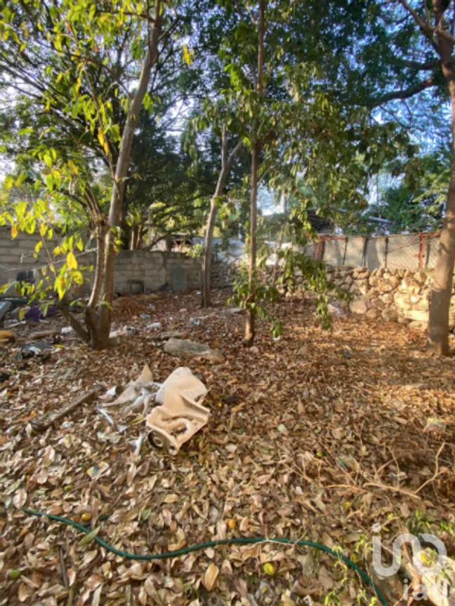 Terreno en Venta en Francisco I Madero, Mérida, Yucatán | NEX-229176 | iad México | Foto 4 de 8
