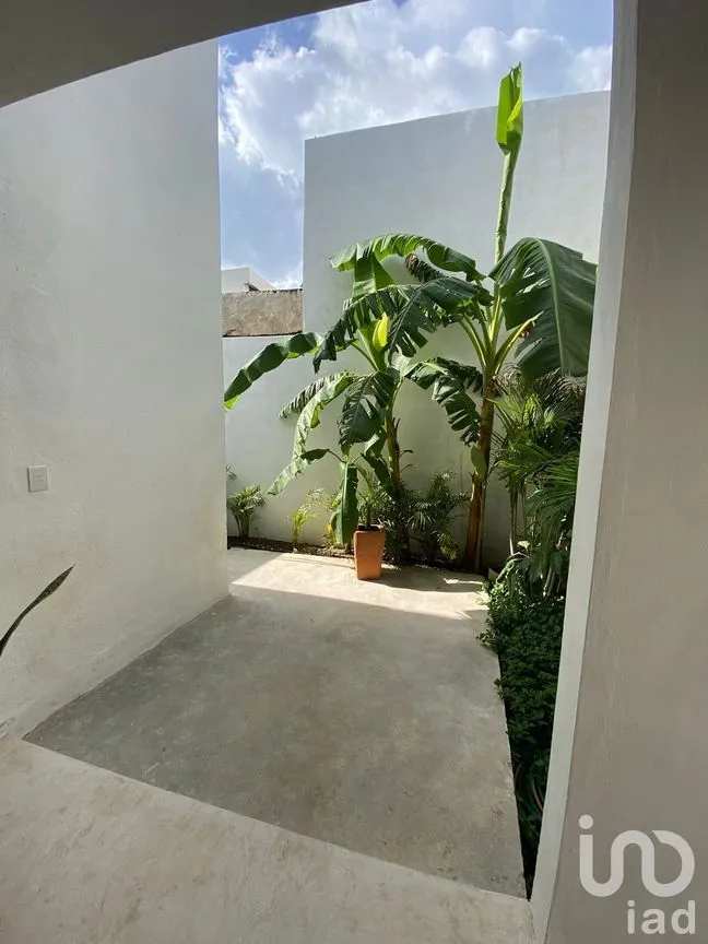 Casa en Venta en Mérida Centro, Mérida, Yucatán | NEX-229217 | iad México | Foto 22 de 44