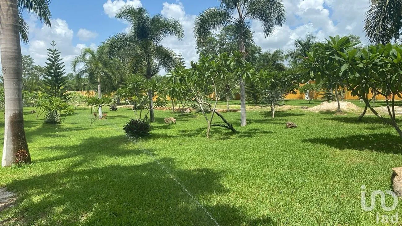 Terreno en Venta en Conkal, Conkal, Yucatán | NEX-229222 | iad México | Foto 2 de 3
