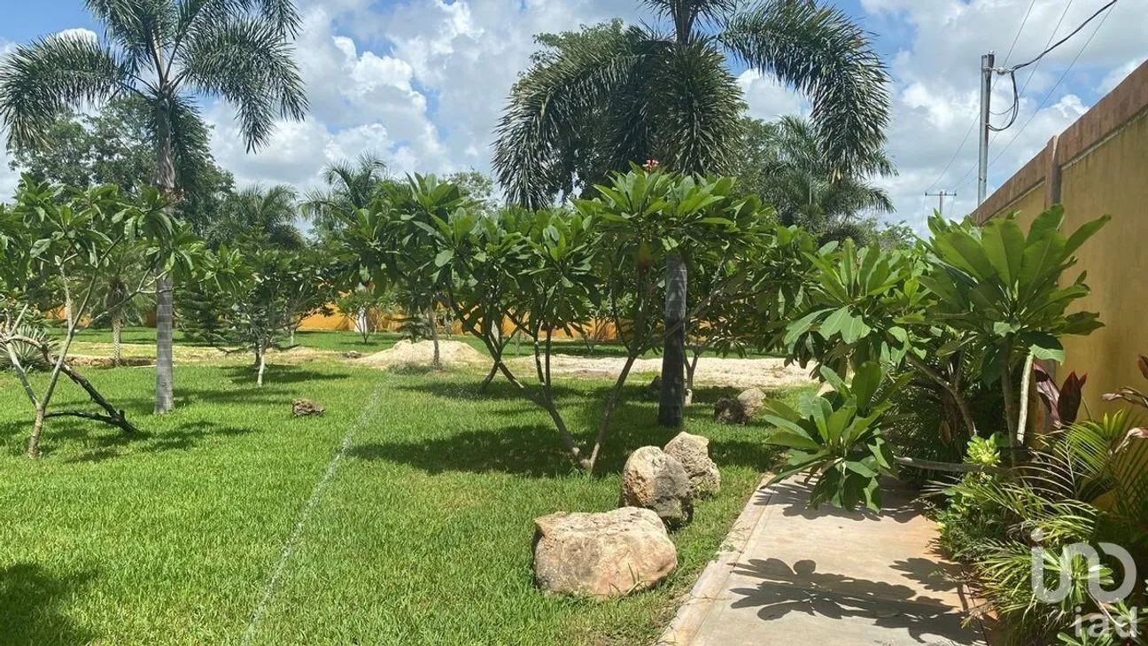 Terreno en Venta en Conkal, Conkal, Yucatán | NEX-229222 | iad México | Foto 3 de 3