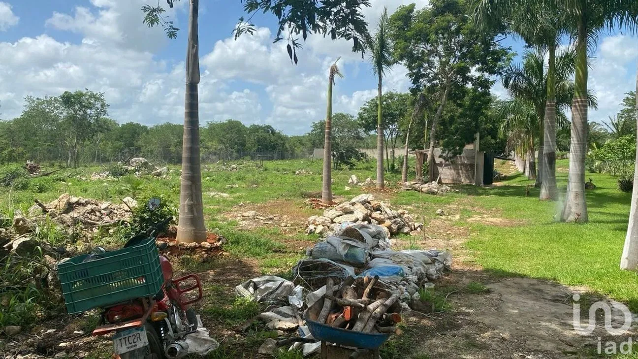 Terreno en Venta en Conkal, Conkal, Yucatán | NEX-229222 | iad México | Foto 1 de 3