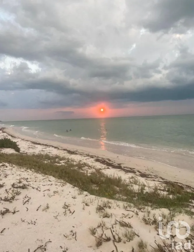 Terreno en Venta en Chicxulub Puerto, Progreso, Yucatán | NEX-229982 | iad México | Foto 3 de 3