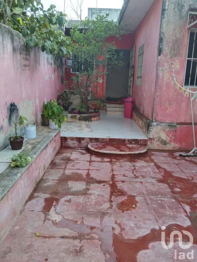 Casa en Venta en Mérida Centro, Mérida, Yucatán | NEX-230273 | iad México | Foto 16 de 36