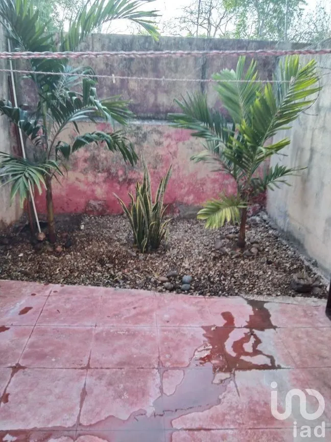 Casa en Venta en Mérida Centro, Mérida, Yucatán | NEX-230273 | iad México | Foto 18 de 36
