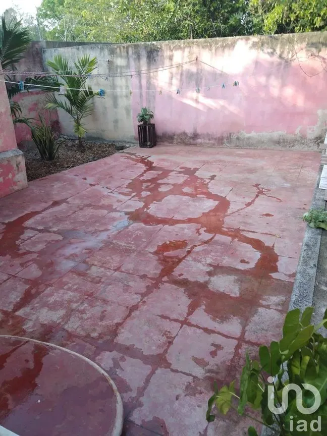 Casa en Venta en Mérida Centro, Mérida, Yucatán | NEX-230273 | iad México | Foto 19 de 36